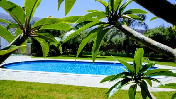 Ibiscus Hotel Malia 4